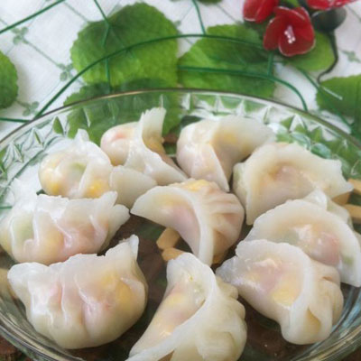 gyoza de pato a la plancha